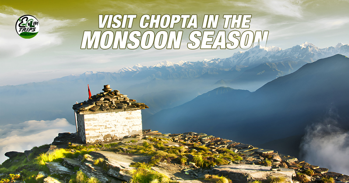 Visit Chopta in Monsoon SeasonA Hidden Gem in the Uttarakhand Hills